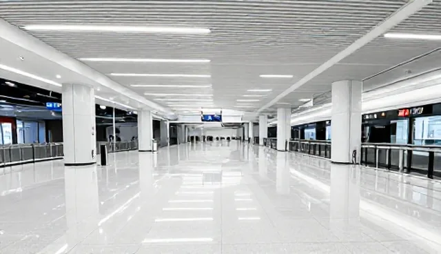 企业信用查询：适用情况分析与业务发展趋势